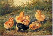 unknow artist chickens 196 USA oil painting artist